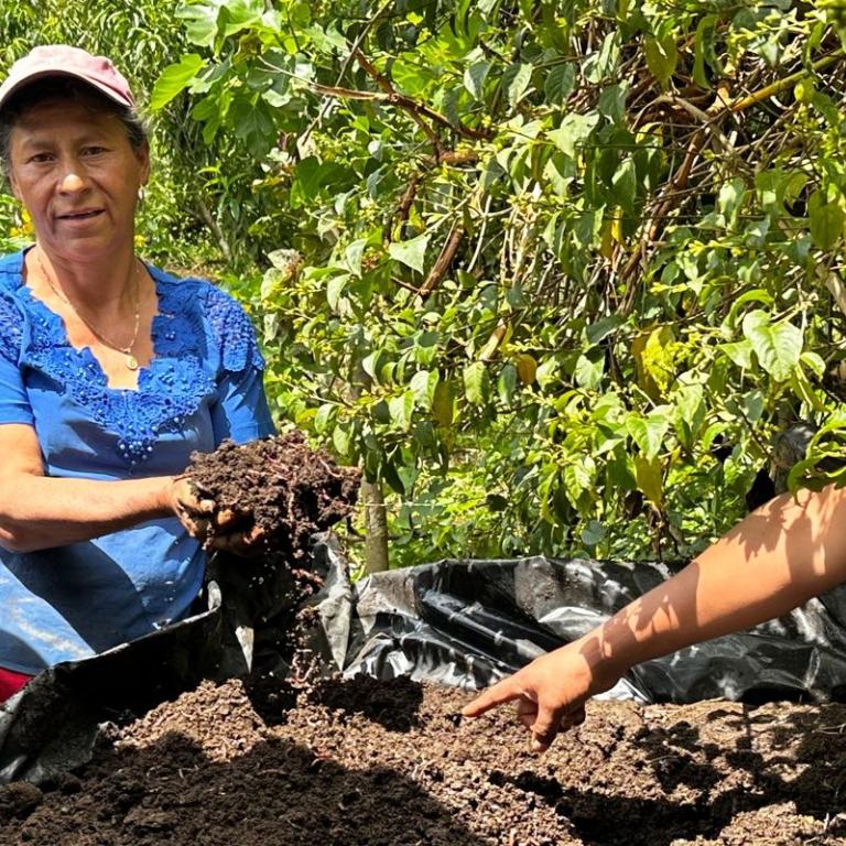 Boeren in Guatemala